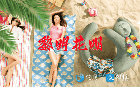 犀利无比花呗